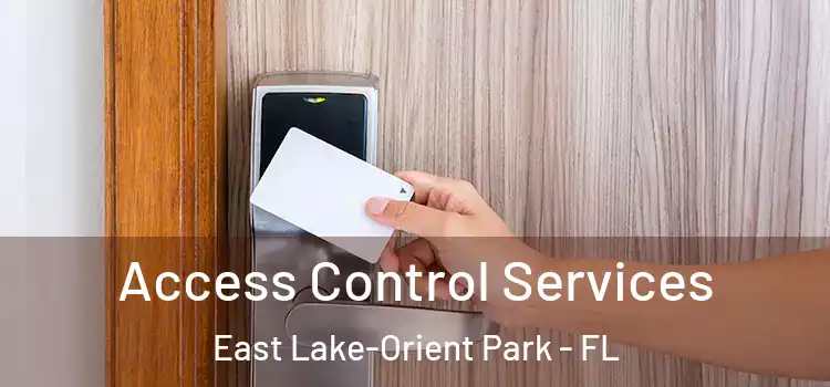 Access Control Services East Lake-Orient Park - FL