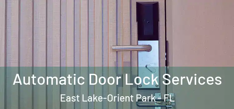  Automatic Door Lock Services East Lake-Orient Park - FL
