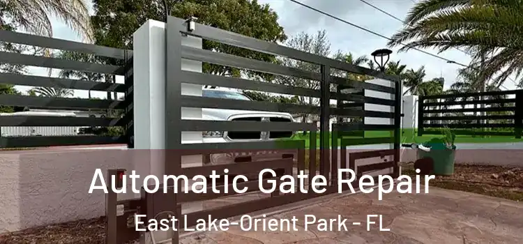  Automatic Gate Repair East Lake-Orient Park - FL