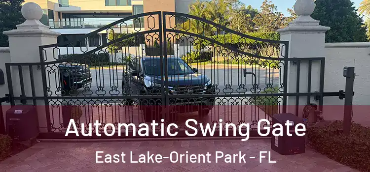 Automatic Swing Gate East Lake-Orient Park - FL