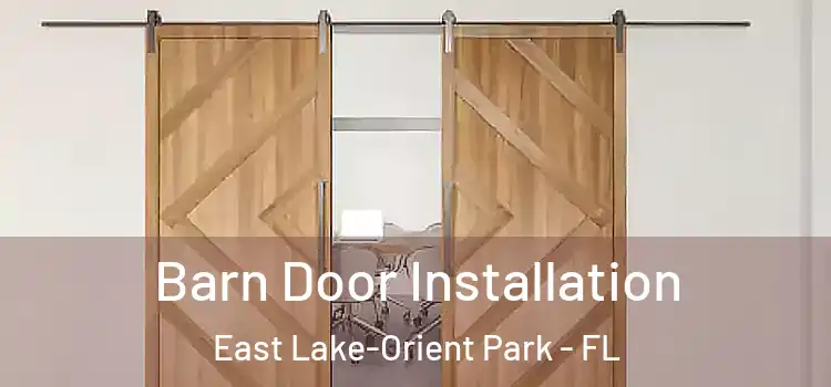  Barn Door Installation East Lake-Orient Park - FL