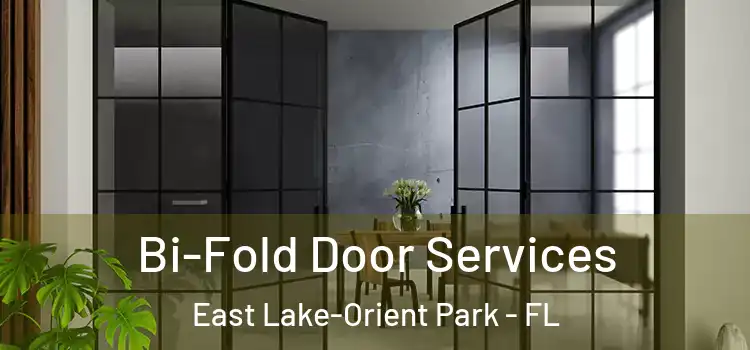  Bi-Fold Door Services East Lake-Orient Park - FL