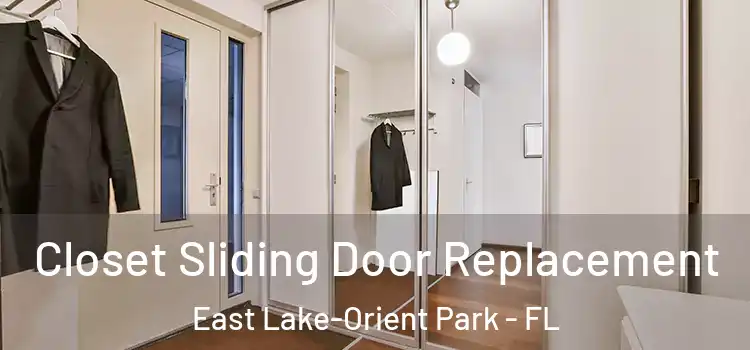  Closet Sliding Door Replacement East Lake-Orient Park - FL