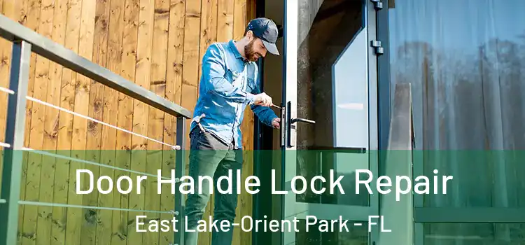 Door Handle Lock Repair East Lake-Orient Park - FL