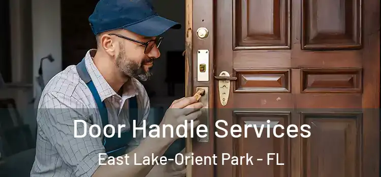  Door Handle Services East Lake-Orient Park - FL