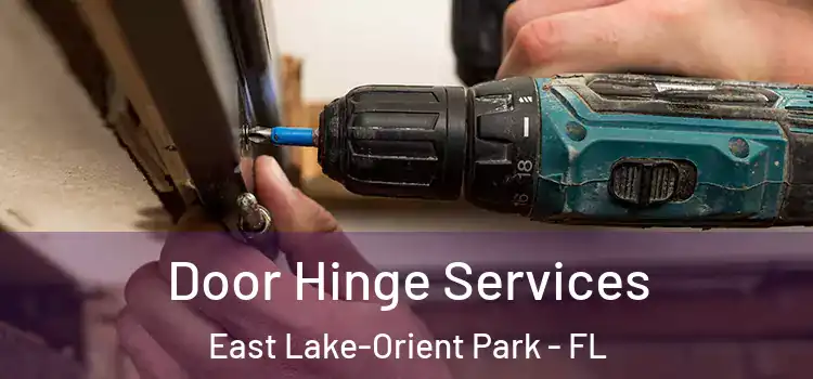  Door Hinge Services East Lake-Orient Park - FL