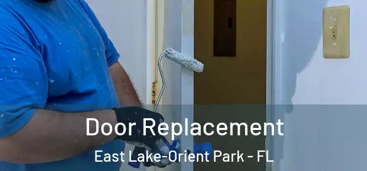  Door Replacement East Lake-Orient Park - FL