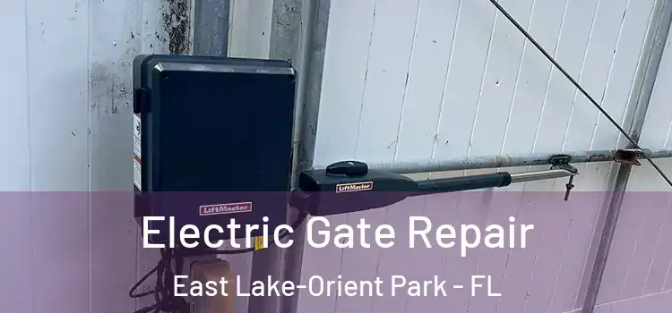 Electric Gate Repair East Lake-Orient Park - FL