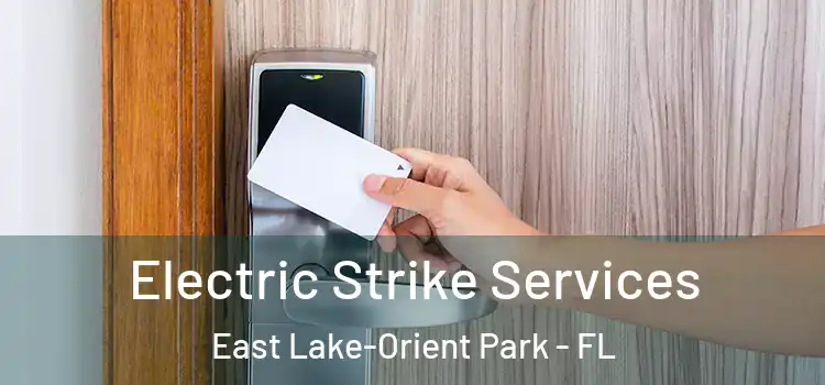  Electric Strike Services East Lake-Orient Park - FL