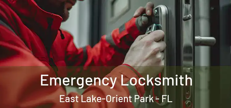  Emergency Locksmith East Lake-Orient Park - FL