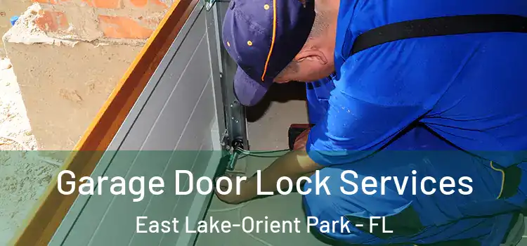  Garage Door Lock Services East Lake-Orient Park - FL