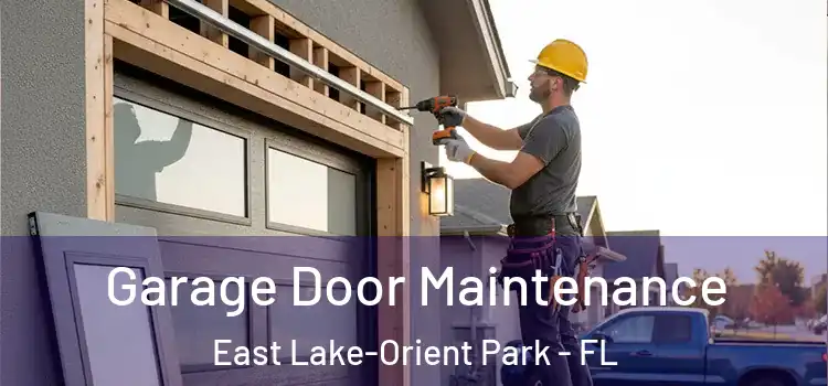 Garage Door Maintenance East Lake-Orient Park - FL