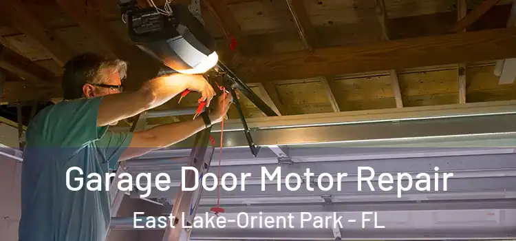  Garage Door Motor Repair East Lake-Orient Park - FL