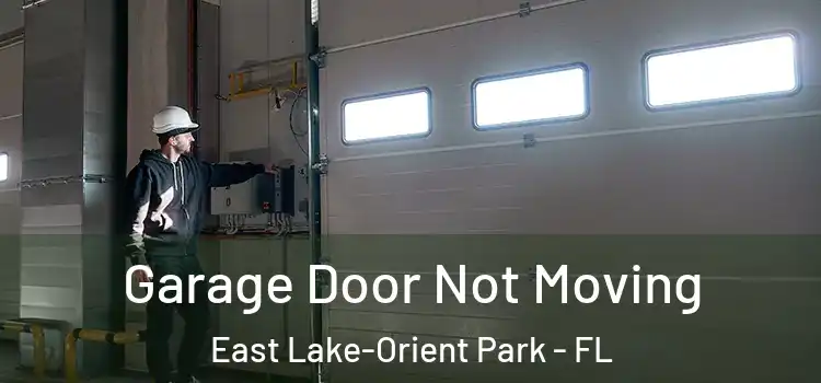  Garage Door Not Moving East Lake-Orient Park - FL