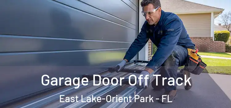  Garage Door Off Track East Lake-Orient Park - FL