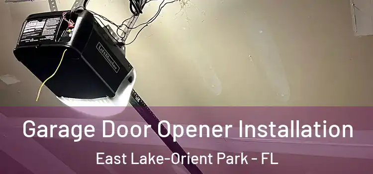  Garage Door Opener Installation East Lake-Orient Park - FL