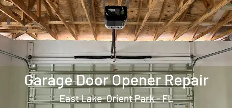  Garage Door Opener Repair East Lake-Orient Park - FL