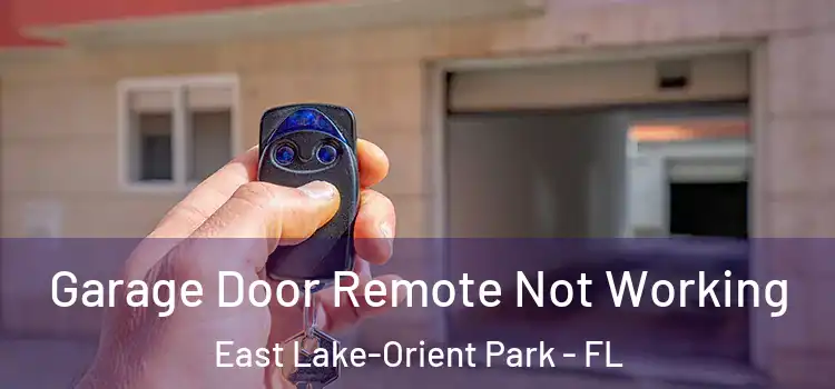  Garage Door Remote Not Working East Lake-Orient Park - FL
