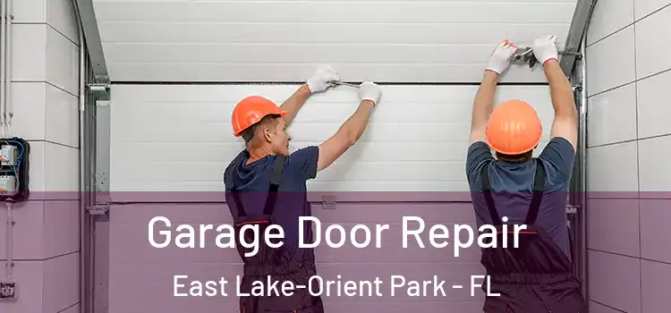  Garage Door Repair East Lake-Orient Park - FL