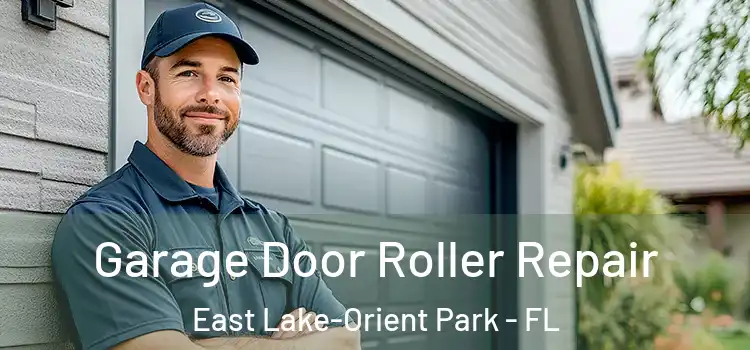  Garage Door Roller Repair East Lake-Orient Park - FL