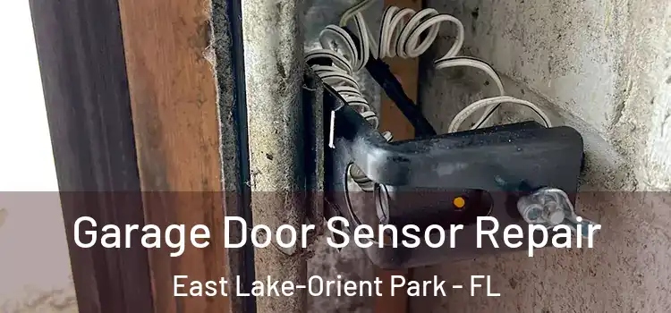 Garage Door Sensor Repair East Lake-Orient Park - FL