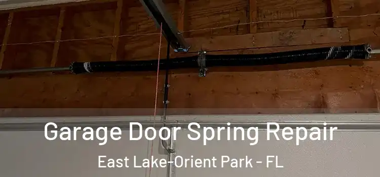  Garage Door Spring Repair East Lake-Orient Park - FL