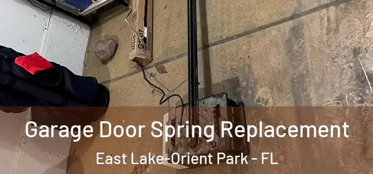  Garage Door Spring Replacement East Lake-Orient Park - FL