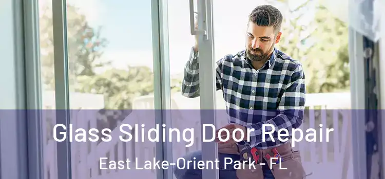 Glass Sliding Door Repair East Lake-Orient Park - FL