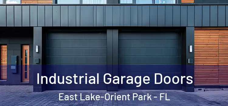  Industrial Garage Doors East Lake-Orient Park - FL