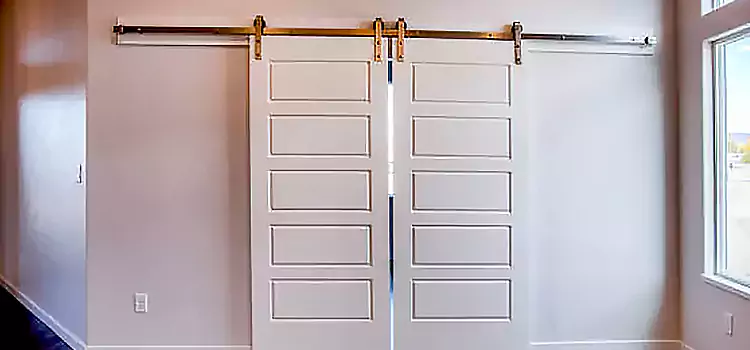 Glass Barn Door with Installation Hardware Kit East Lake-Orient Park