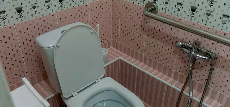 Meeting Diverse Needs With Accessible Restroom Solutions in East Lake-Orient Park, FL