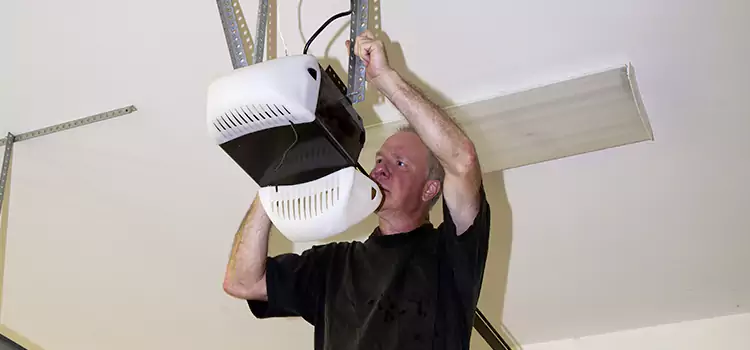 Garage Door Opener Service East Lake-Orient Park