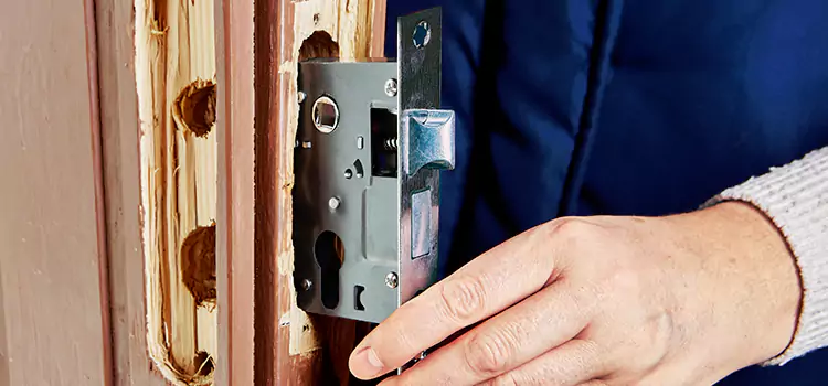 Garage Door Lock Replacement East Lake-Orient Park