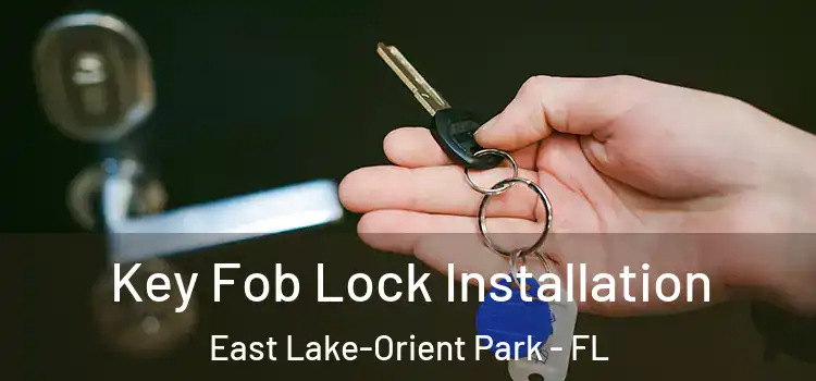 Key Fob Lock Installation East Lake-Orient Park - FL