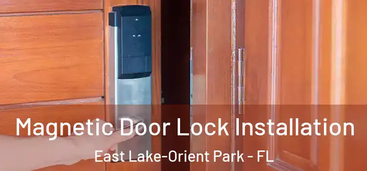  Magnetic Door Lock Installation East Lake-Orient Park - FL
