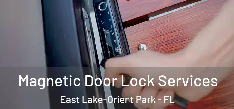Magnetic Door Lock Services East Lake-Orient Park - FL