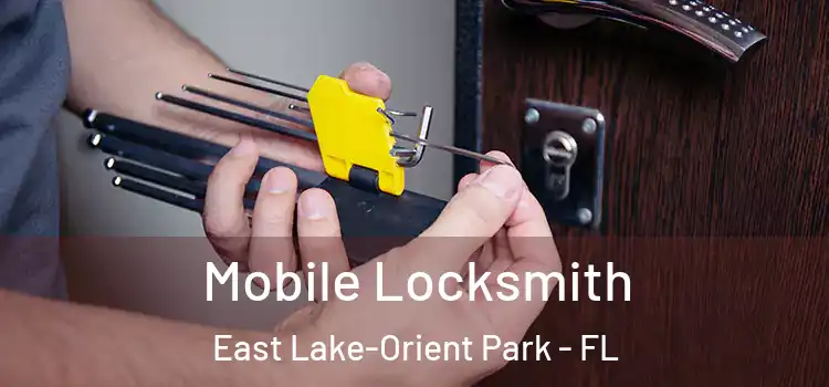 Mobile Locksmith East Lake-Orient Park - FL