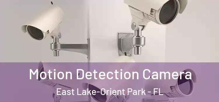  Motion Detection Camera East Lake-Orient Park - FL