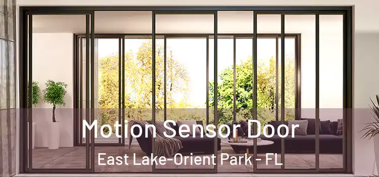  Motion Sensor Door East Lake-Orient Park - FL