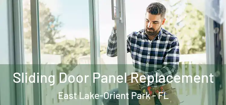  Sliding Door Panel Replacement East Lake-Orient Park - FL