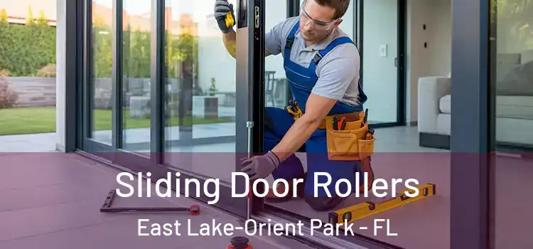  Sliding Door Rollers East Lake-Orient Park - FL