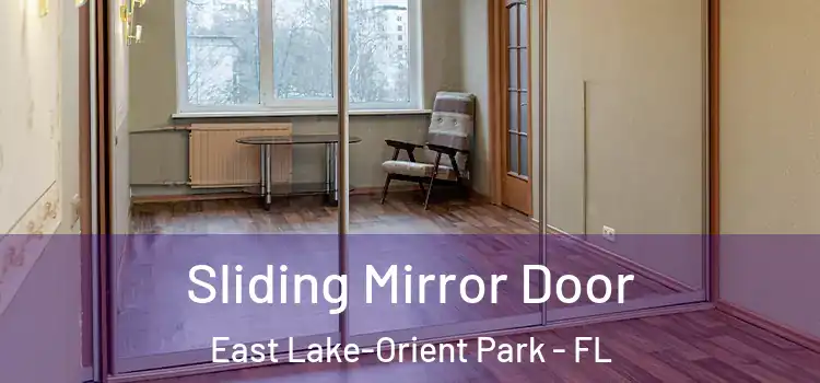  Sliding Mirror Door East Lake-Orient Park - FL