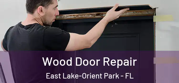 Wood Door Repair East Lake-Orient Park - FL