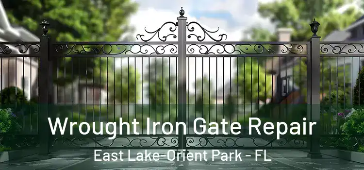 Wrought Iron Gate Repair East Lake-Orient Park - FL